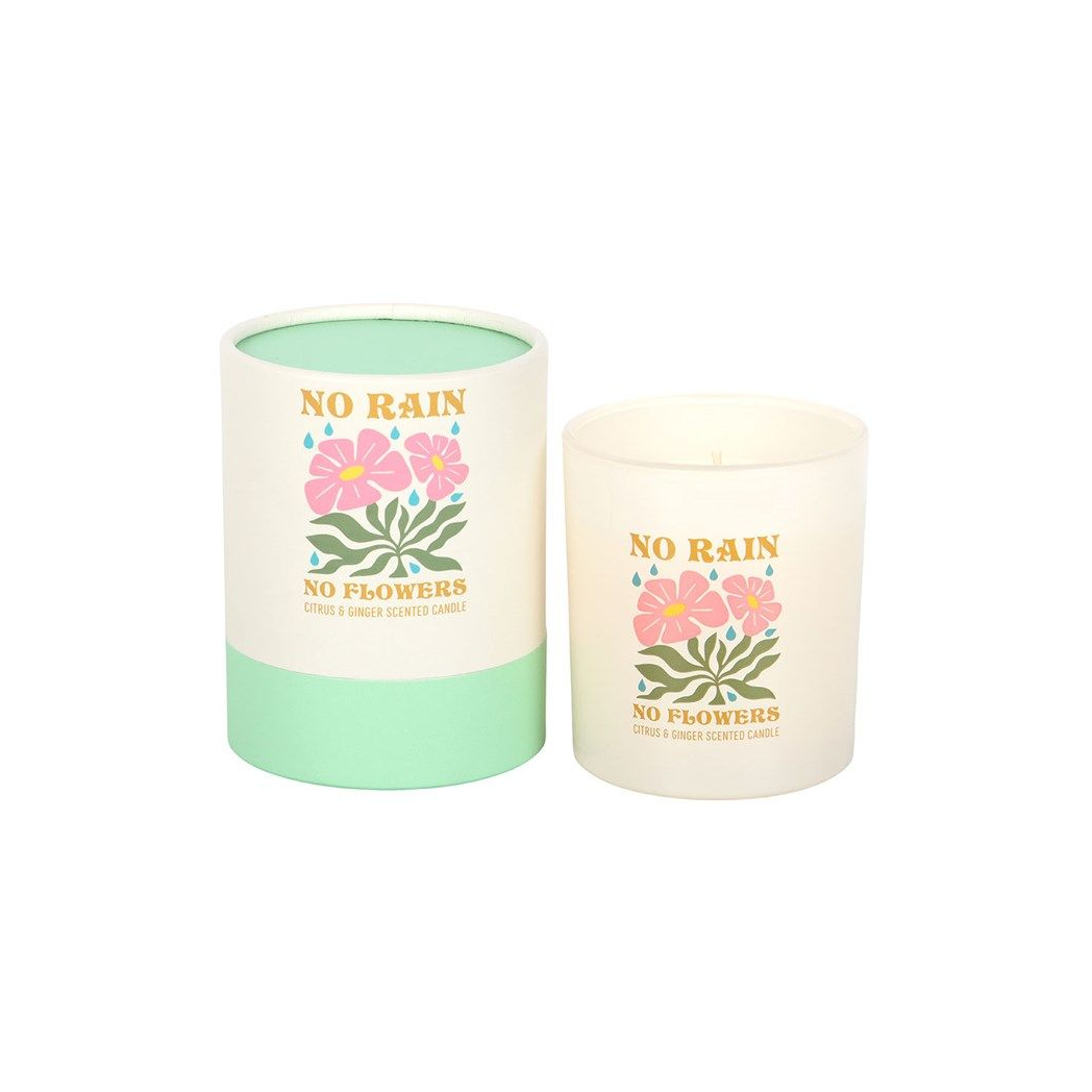No Rain No Flowers Candle – Citrus & Ginger Scented Motivational Candle