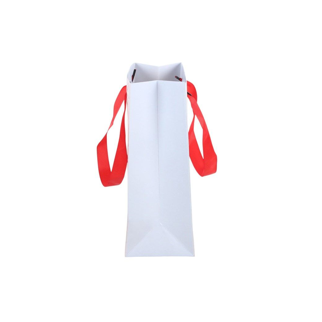 Snow Much Fun Christmas Gift Bag | Large Festive Gift Bag | Christmas Present Bag